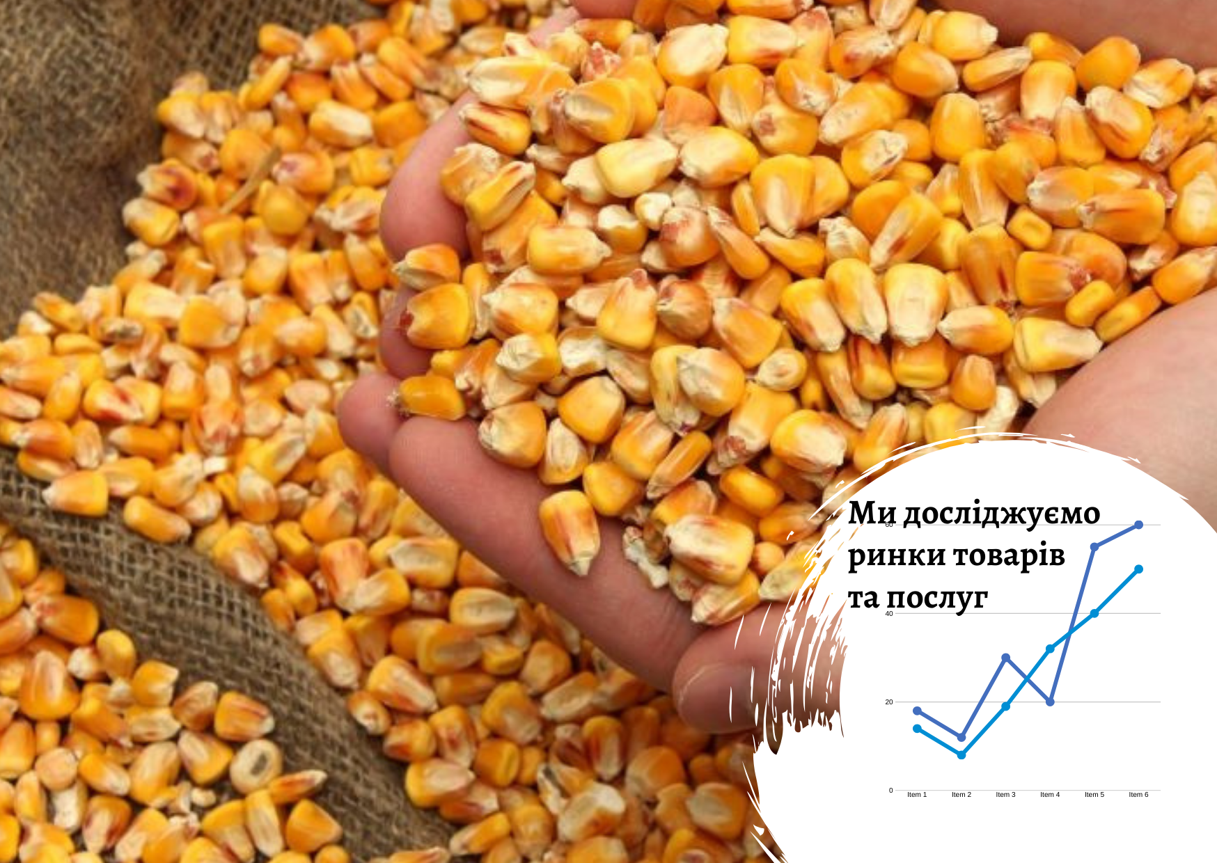 Ukrainian deep processing of corn market – research